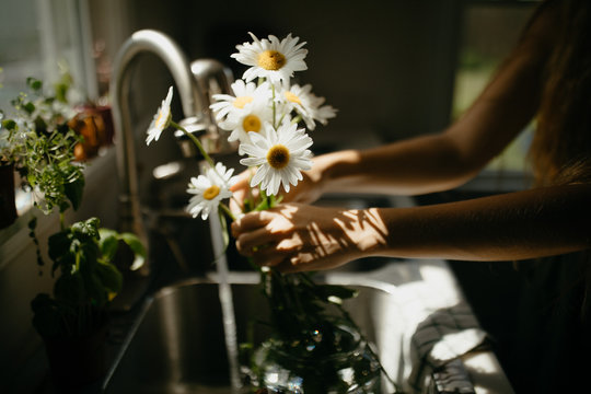 Cut Flowers In A Kitchen Sink