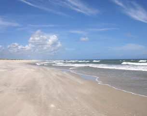 Windswept Beach