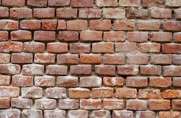 wall of old red brick 3