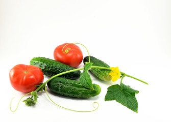 Ripe red tomatoes and cucumbers from the garden.