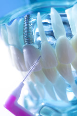 Interdental teeth clean brush