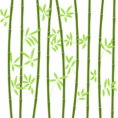 Chinese or japanese bamboo grass oriental wallpaper vector illustration. Tropical asian plant background