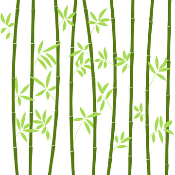 Chinese or japanese bamboo grass oriental wallpaper vector illustration. Tropical asian plant background © liubomir118809