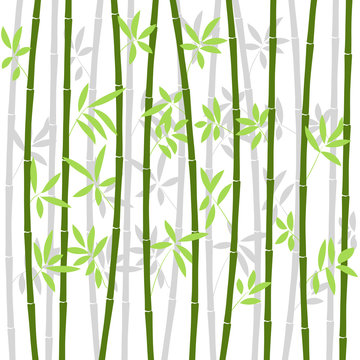 Chinese or japanese bamboo grass oriental wallpaper vector illustration. Tropical asian plant background © liubomir118809