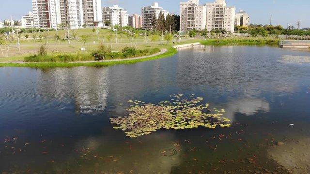 Artificial pond with decorative fish and water flowers in the Ecko Park Hadera Israel