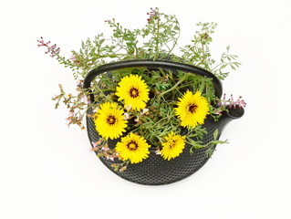 Black tea pot with yellow and pink flowers bouquet on white background. Top view