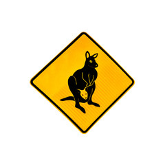 Australian wildlife warning road sign for kangaroo with cub on the road in Australia. Isolated on white.