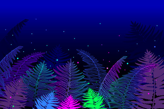 Vector horizontal composition of outline fossil forest plant Fern with frond on the black background. Drawing of magic forest with contour ornate Fern foliage for fairy summer design.