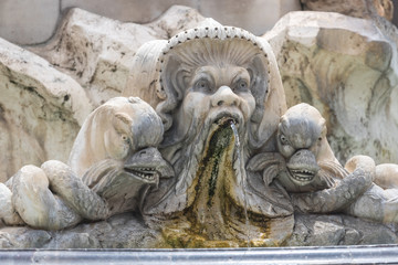 Fototapeta na wymiar Close-up of the Fontana Del Pantheon in Rome, Italy