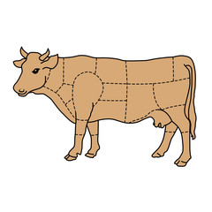 Cartoon cow - cattle meat diagram