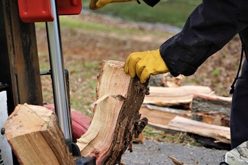 A man working with the firewood to split the logs by the machine on the driveway in the garden,...