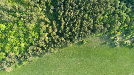 Fototapeta na wymiar Top view of park, forest and meadow. Beautiful landscape in summer time