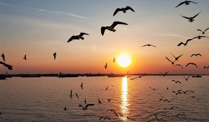 View of sunset at Yangon River with lots of silhouette flying seagulls looking through the river cruise, Winter in Yangon Myanmar.