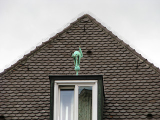 Obraz premium The cat in the roof