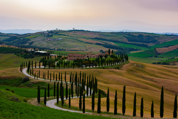 The most beautiful view in Tuscany Italy.