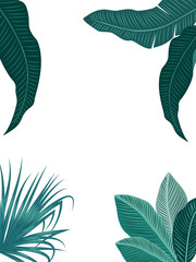Fototapeta na wymiar Vector tropical jungle background with palm trees and leaves