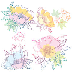 Vector set of hand drawing outline Anemone flower or Windflower, bud and leaf in pastel pink, orange and blue color isolated on white background. Ornate contour Anemones for spring or summer design.