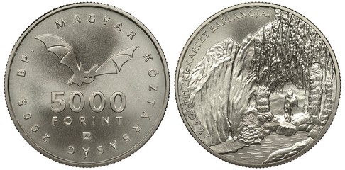 Hungary Hungarian silver coin 5000 five thousand forint 2005, flying bat, nature, karst caves,...