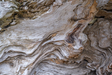 Closeup of driftwood on the beach at Ben Ure Spit on Whidbey Island, Washington - obrazy, fototapety, plakaty