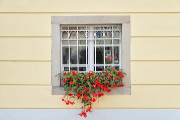 Flower boxes full of geraniums in front of a window in Passau, Germany