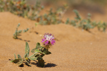 Parque Regional de Calblanque, Cartagena, Murcia