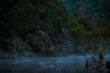 Fototapeta premium Composicion..