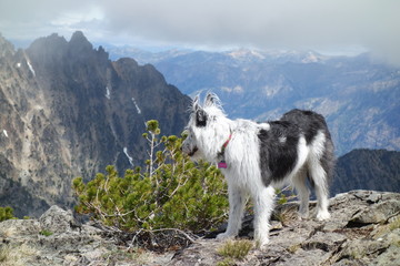 Exploring the Pacific Northwest, Washington State
