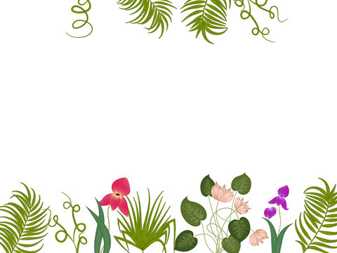 Vector tropical jungle background with leaves and exotic flowers