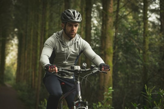 Cyclist riding bicycle through forest