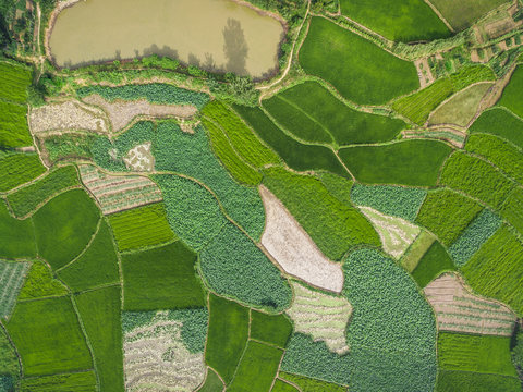 Aerial photography bird-eye view of farm farmland nature landsca