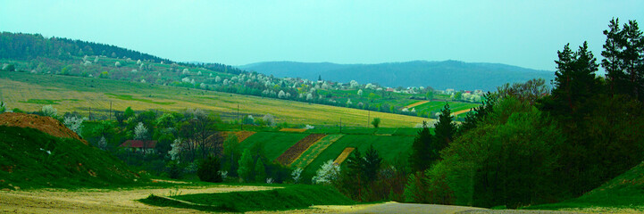 Fototapeta na wymiar forest and mountains, panorama