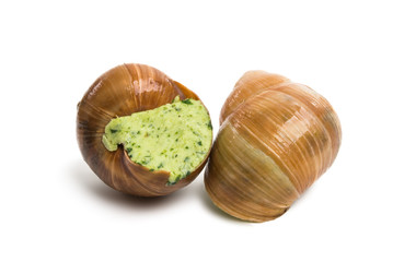 stuffed snail isolated