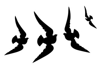 Four flying pigeons with wide wings. Vector illustration