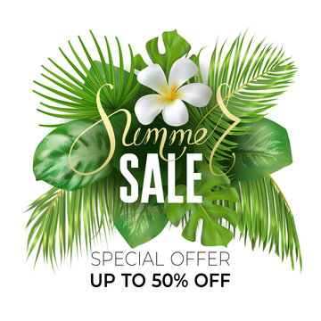 Summer sale banner with tropic leaves