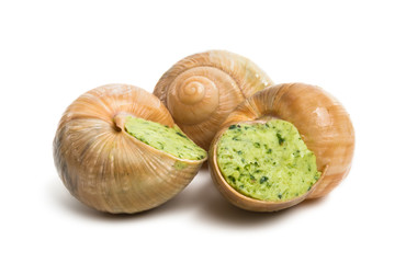 stuffed snail isolated