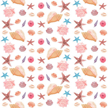 Watercolor Sea Shells pattern