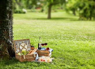 Picnic hamper under tree with glasses of wine