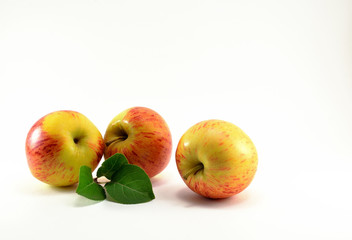 Three ripe red apples and a green twig.