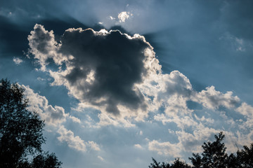 Sun rays behind a dark cloud on a cloudy sky. Dark silhouette of tree leaves and branches. Forest...