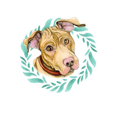 Dog pit bull terrier in a wreath of leaves. Puppy watercolor is isolated on a white background
