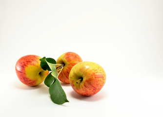 Three ripe red apples and a green twig.