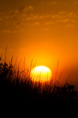 Sunrise in Colorado's plains