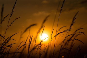 Obraz premium Sunrise in Colorado's plains