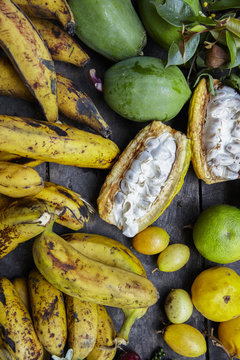 Tropical treasure / Ecuador
