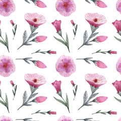 Garden flowers of petunia