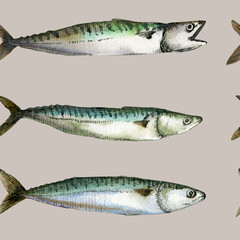 Funny retro style pin-up fishes seamless pattern drawn with watercolor and ink. Will be good for decor a postcard, posters, gift wrapping, gift boxes, fabric design and etc.