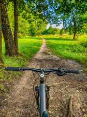 Naklejka na ściany i meble MTB bicycle on the trail in the summer season