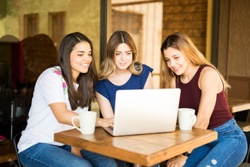 Female friends using laptop at restaurant