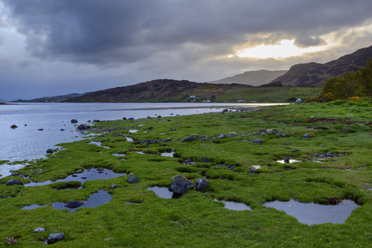 Grassy shoreline at sunrise along the Scottish coast near Eilean Donan Castle and Kyle of Lochalsh in Scotland, United Kingdom