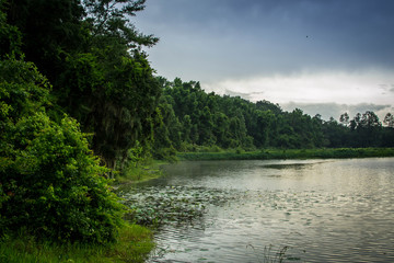 Fototapeta premium Landscape with cloudy skies